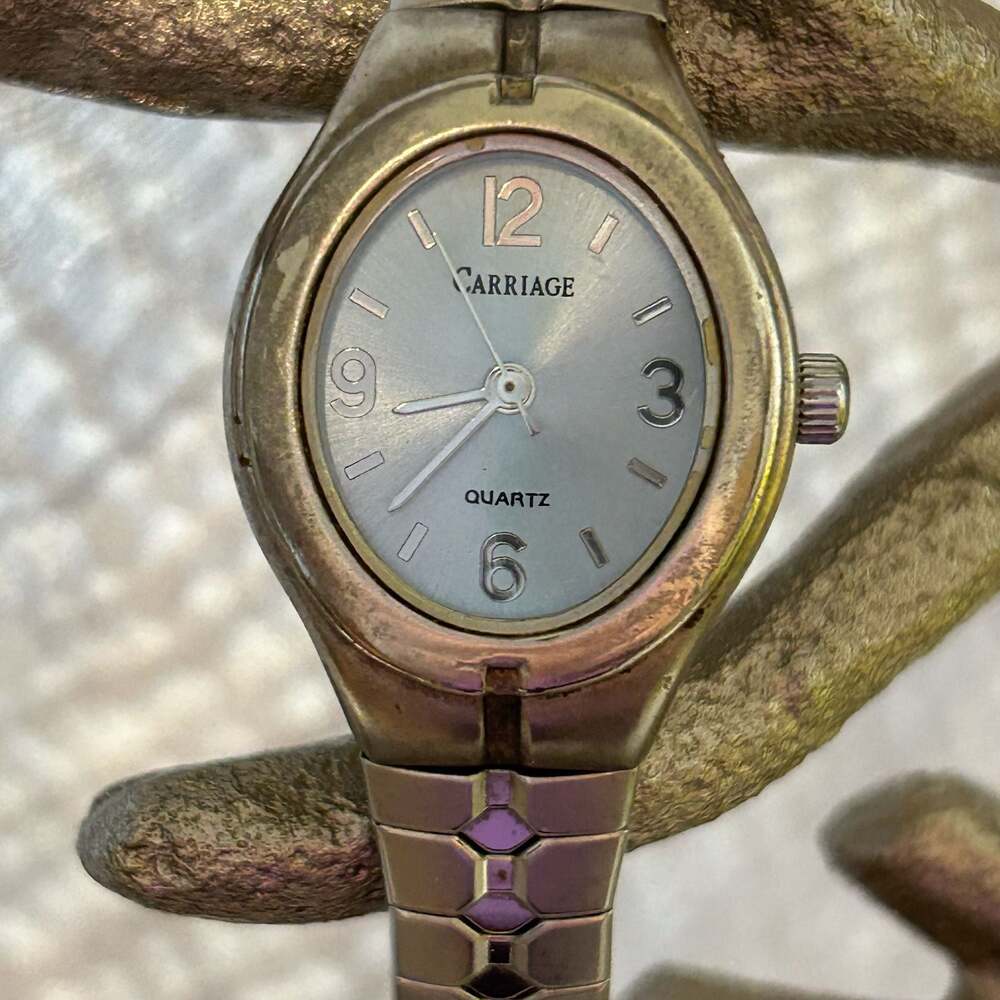 Carriage by Timex Women's Quartz Analog Watch Silver Tone
